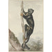 Riproduzione del dipinto Un scimmia ragno peruviana Ateles chamek 1759 - Aert Schouman