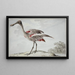 Una spatola rosa Platalea ajaja - Aert Schouman — quadro incorniciato alla parete