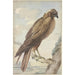 Un cerf-volant - Aert Schouman — vista dell’opera