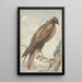 Un cerf-volant - Aert Schouman — quadro incorniciato alla parete