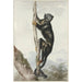 Diable des bois - Aert Schouman — vista dell’opera