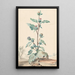 di Girasole - Aert Schouman — quadro incorniciato alla parete