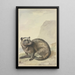 Un étrange chat viverrin - Aert Schouman — quadro incorniciato alla parete
