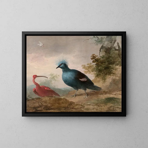 Pintade de Numidie, cacatua nero, ibis rosso e goura coronato - Aert Schouman — quadro incorniciato alla parete