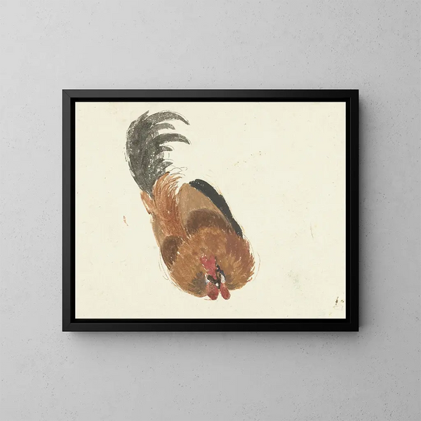 Studio di un gallo morto - Aert Schouman — quadro incorniciato alla parete