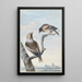 Due uccelli un gros-bec Coccothraustes coccothraustes e un fringillide del Nord Fringilla montifringilla - Aert Schouman — quadro incorniciato alla parete