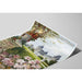 Poster Touraine e Berry Vintage