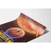 Poster vintage NASA - The Roasted Planet 2021