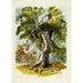 Riproduzione del dipinto Albero nodoso - Dopo David Hall McKewan