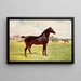 Double campione stallone pony Berkeley Modello - Dopo Penry Powell Palfrey — quadro incorniciato alla parete