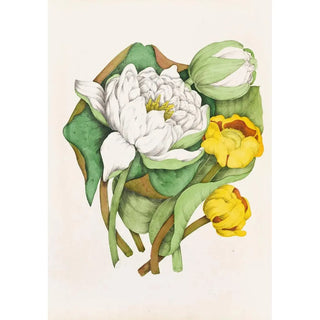 Agnes Fitzgibbon - Sweet Scented Water Lily Yellow Pond Lily.webp
