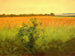 Champs - Agnes Slott-Møller — vista dell’opera
