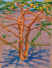 Acacia nella savana - Akseli Gallen-Kallela — vista dell’opera