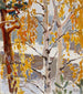 Prima neve - Akseli Gallen-Kallela — vista dell’opera