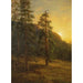 Sequoie della California - Albert Bierstadt — vista dell’opera