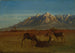 Cervi nella casa di montagna - Albert Bierstadt — vista dell’opera