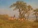 Antilope paissant - Albert Bierstadt — vista dell’opera