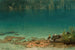Paesaggio lacustre - Albert Bierstadt — vista dell’opera