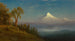 Mont St Helens, fiume Columbia, Oregon - Albert Bierstadt — vista dell’opera