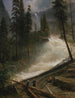 Cascate del Nevada a Yosemite - Albert Bierstadt — vista dell’opera