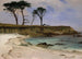 Anse marine - Albert Bierstadt — vista dell’opera
