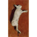 Studio di lepre morta - Albert Edelfelt — quadro incorniciato alla parete