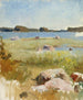 Paesaggio dell'arcipelago incompiuto - Albert Edelfelt — vista dell’opera