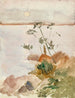 Bord de mer au clair de lune - Albert Edelfelt — vista dell’opera