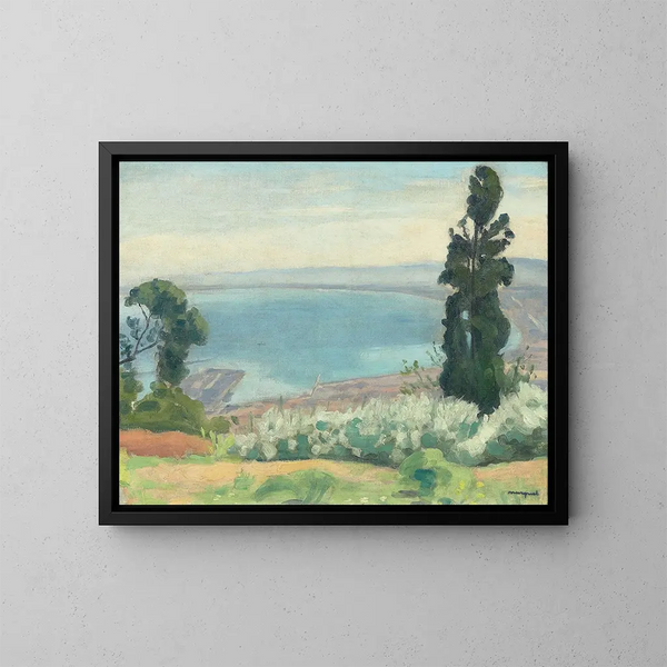 Baia di Algeri vista di El-Biar - Albert Marquet — quadro incorniciato alla parete