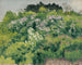 Fleurs d'Alger - Albert Marquet — vista dell’opera
