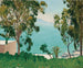 La plage vue à travers les eucalyptus - Albert Marquet — vista dell’opera