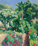 Le Jardin fleuri - Albert Marquet — vista dell’opera