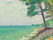 Pins à Pyla - Albert Marquet — vista dell’opera