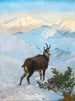 Un camoscio nelle montagne - Albert Singer — vista dell’opera