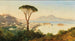 Vista sulla baia di Napoli - Albert Zimmermann — vista dell’opera
