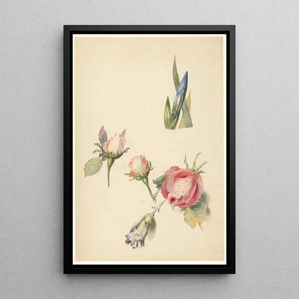 Riproduzione del dipinto Foglio di studio con tre rose e un iris - Albertus Steenbergen