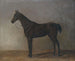 Cavallo grigio - Albrecht Adam — vista dell’opera