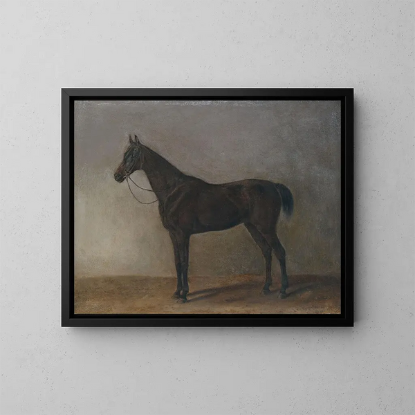 Cavallo grigio - Albrecht Adam — quadro incorniciato alla parete