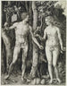 Adam e Eva La caduta dell'uomo - Albrecht Dürer — vista dell’opera