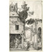 La Natività - Albrecht Dürer — vista dell’opera