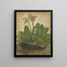 Touffe de primevères - Albrecht Dürer — quadro incorniciato alla parete