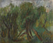 Saules de l'Altai - Aleksandr Drevin — vista dell’opera