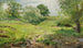 Paesaggio estivo - Alexander Alexandrovich Kiselev — vista dell’opera
