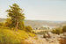 Paesaggio - Alexander Helwig Wyant — vista dell’opera