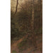 Riproduzione del dipinto Betulle ai margini della foresta - Alexander Koester