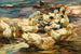 Anatre che escono dall'acqua - Alexander Koester — vista dell’opera