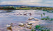 Anatre sul lago - Alexander Koester — vista dell’opera