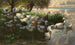 Anatre sul lago - Alexander Koester — vista dell’opera