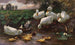 Paperino con paperi e paperini sul bordo del lago - Alexander Koester — vista dell’opera