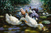 Cinq canards - Alexander Koester — vista dell’opera